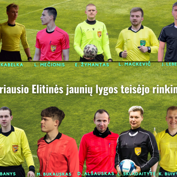 teisejai-gulscias.png